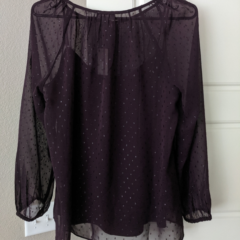 J. Crew point sur sheer blouse